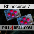 Rhinocéros 7 14